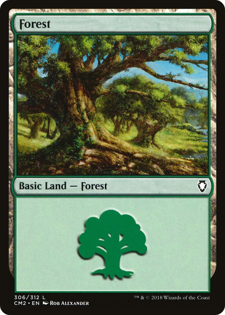 Forest - Image 1
