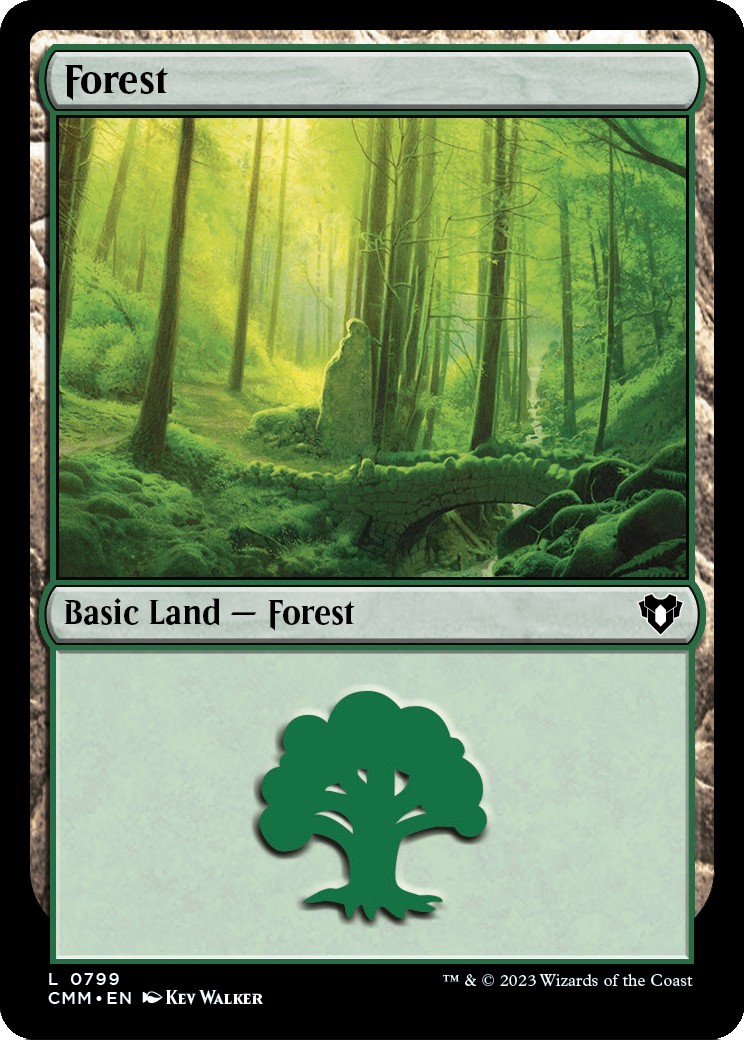 Forest - Image 1