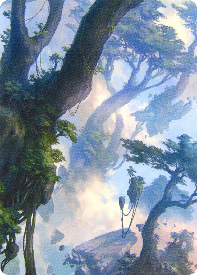 Forest // Forest - Image 1
