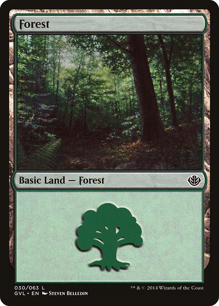 Forest - Image 1