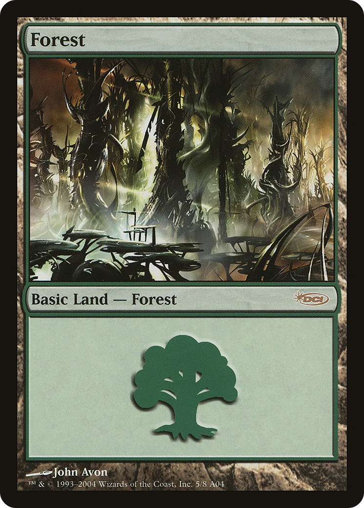 Forest - Image 1