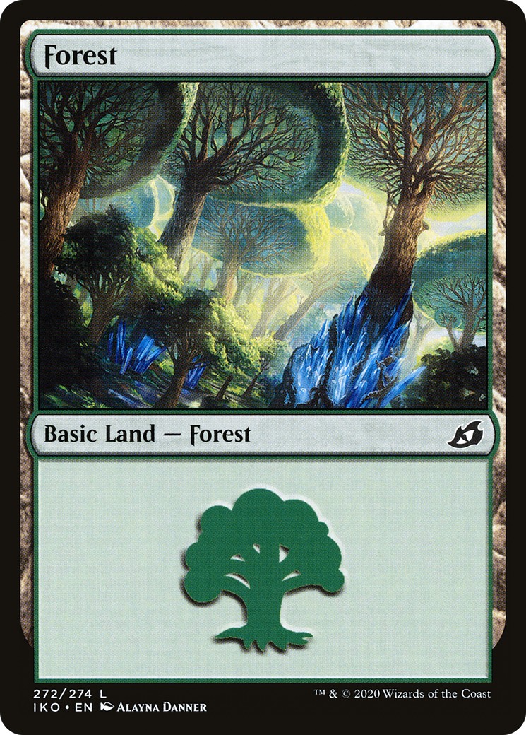 Forest - Image 1