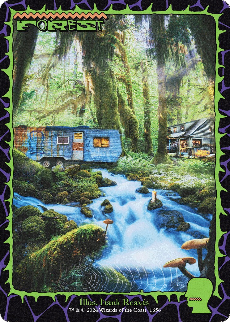 Forest - Image 1