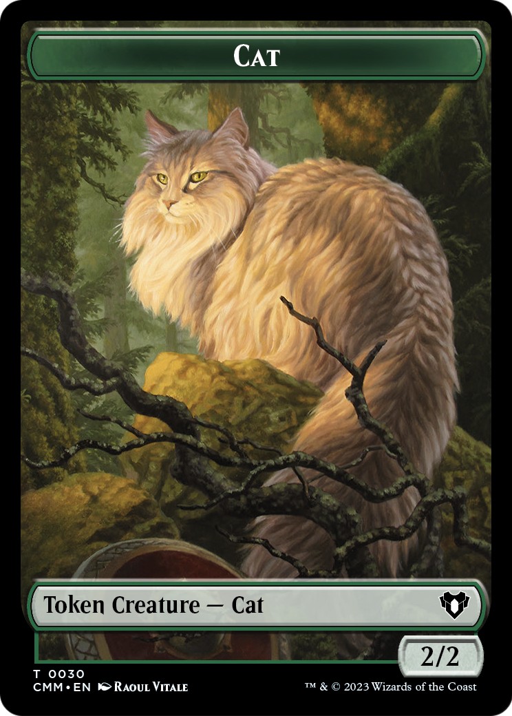 Cat - Image 1