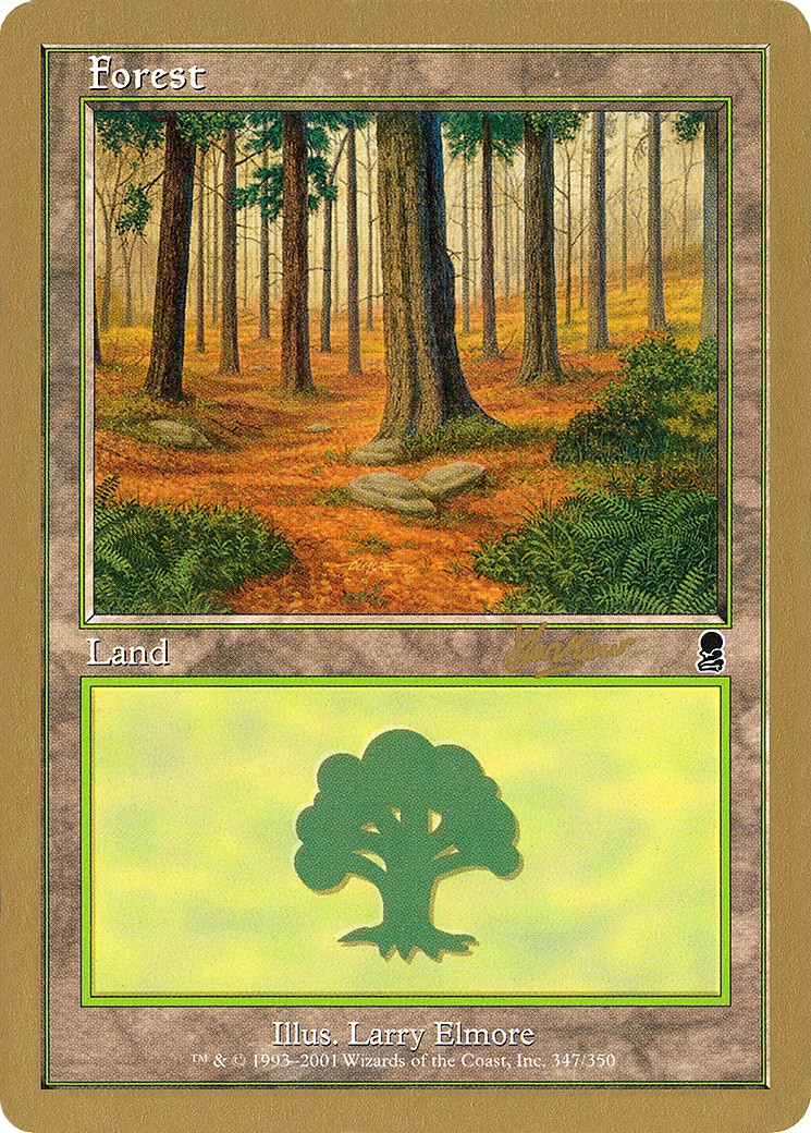 Forest - Image 1