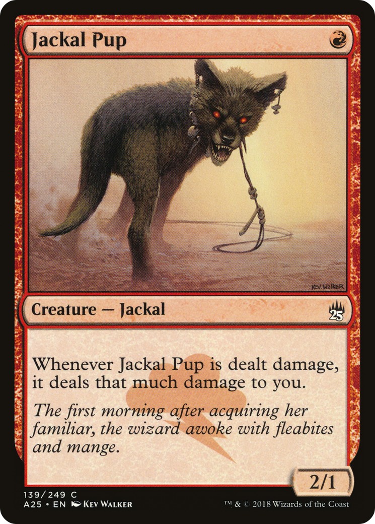 Jackal Pup - Image 1