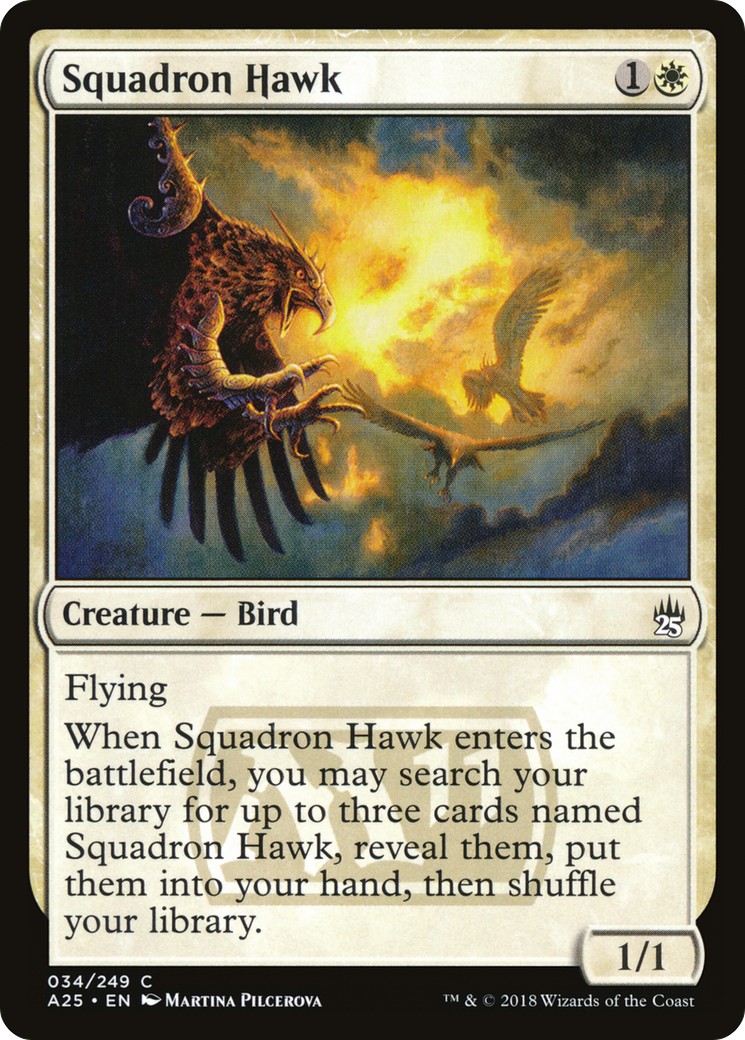 Squadron Hawk - Image 1