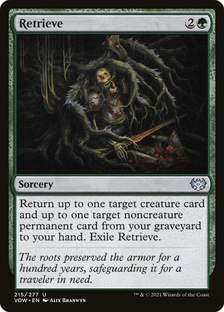 Retrieve - Image 1