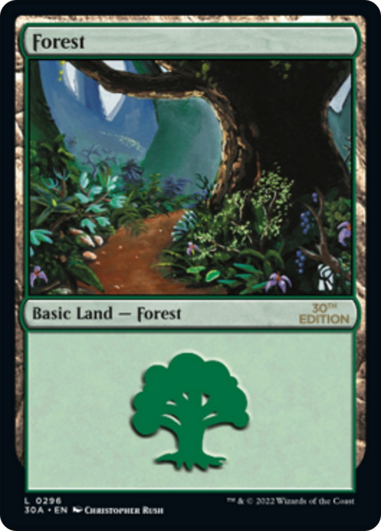 Forest - Image 1