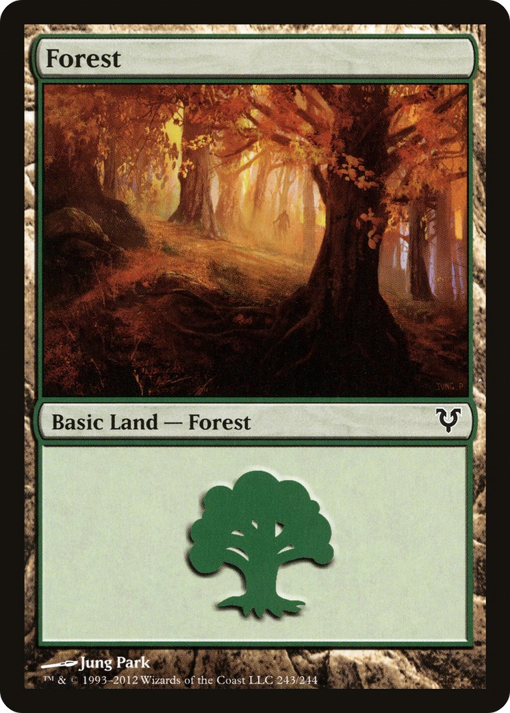 Forest - Image 1