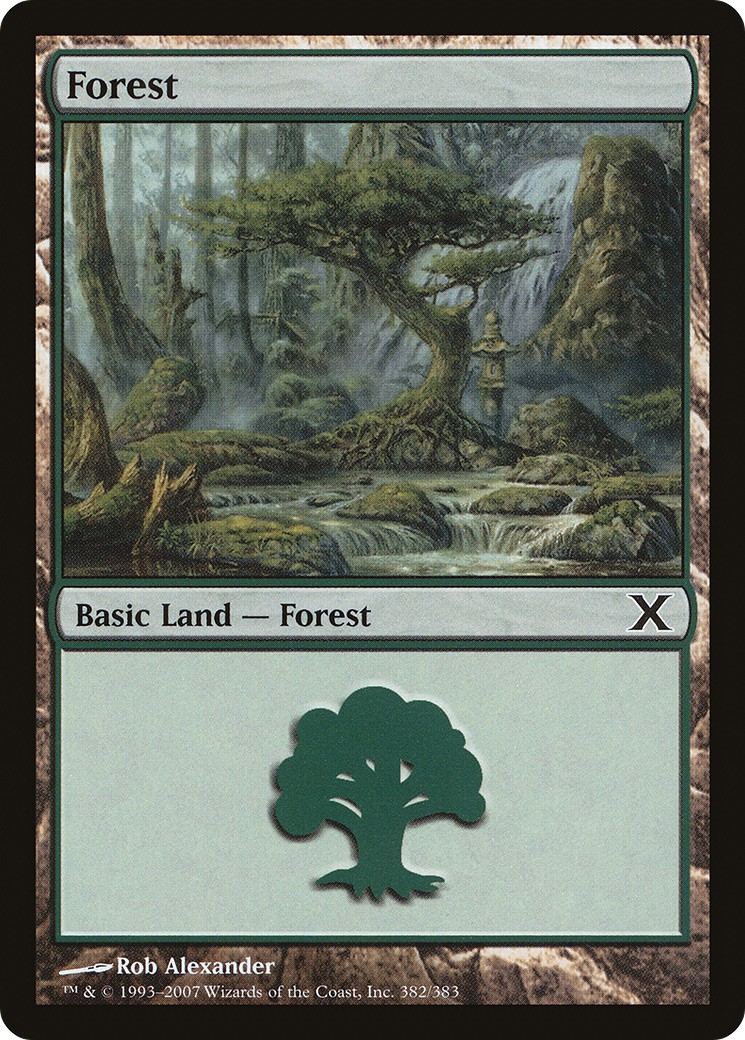 Forest - Image 1