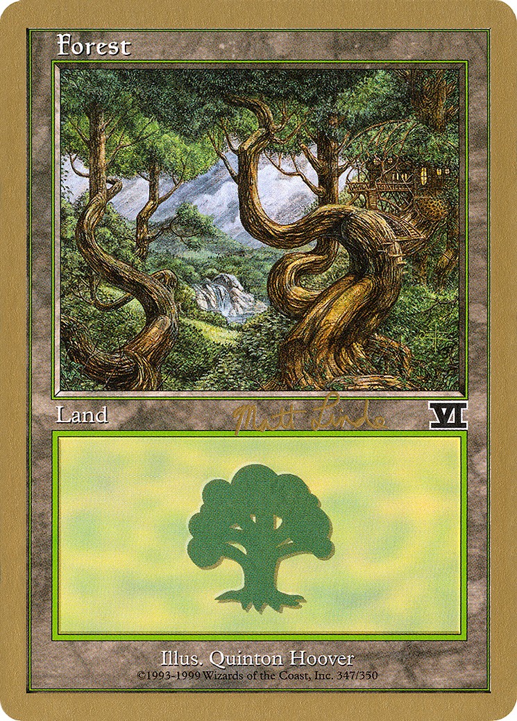 Forest - Image 1