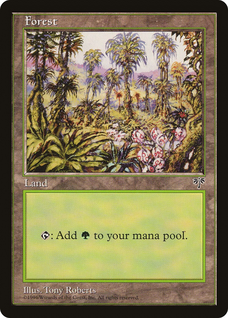 Forest - Image 1