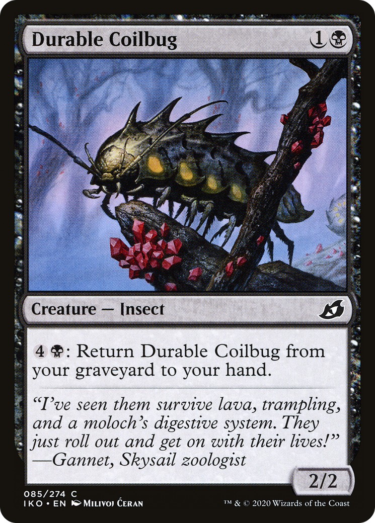 Durable Coilbug - Image 1