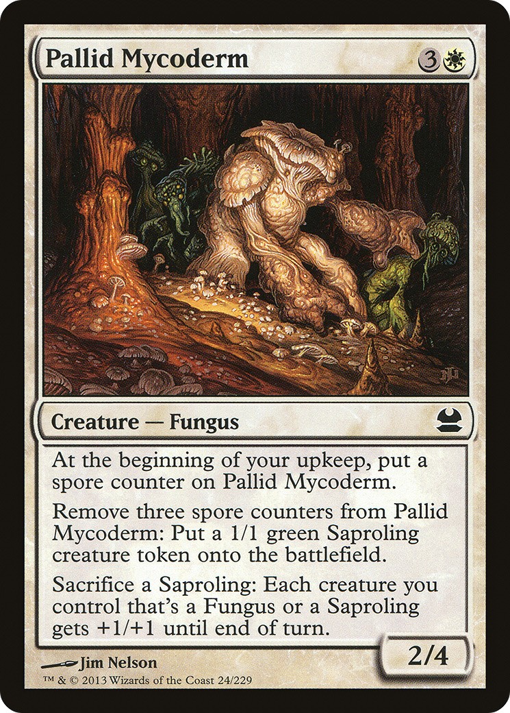 Pallid Mycoderm - Image 1