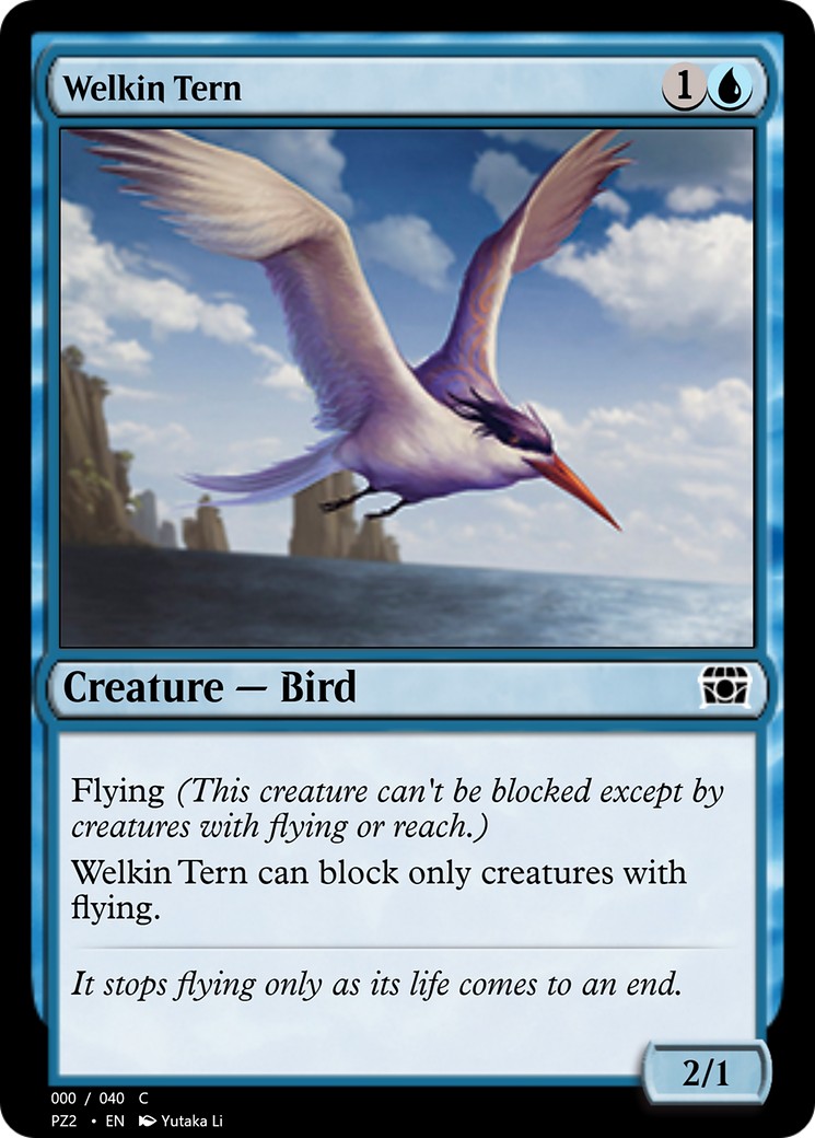 Welkin Tern - Image 1