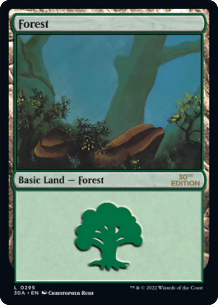Forest - Image 1