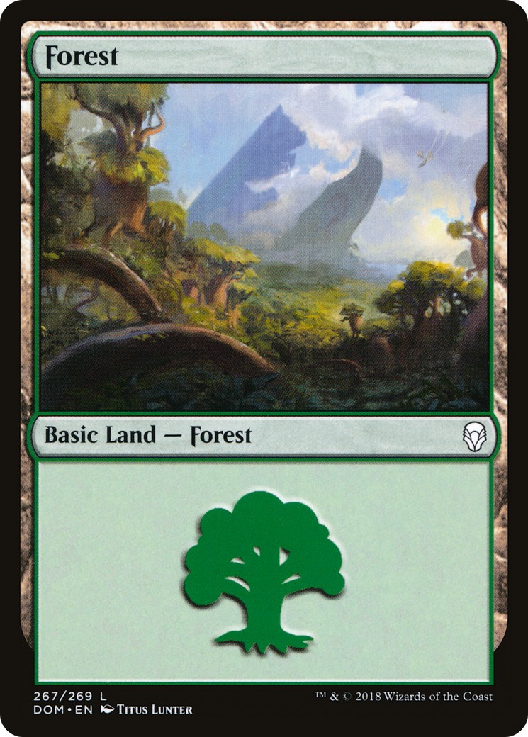 Forest - Image 1