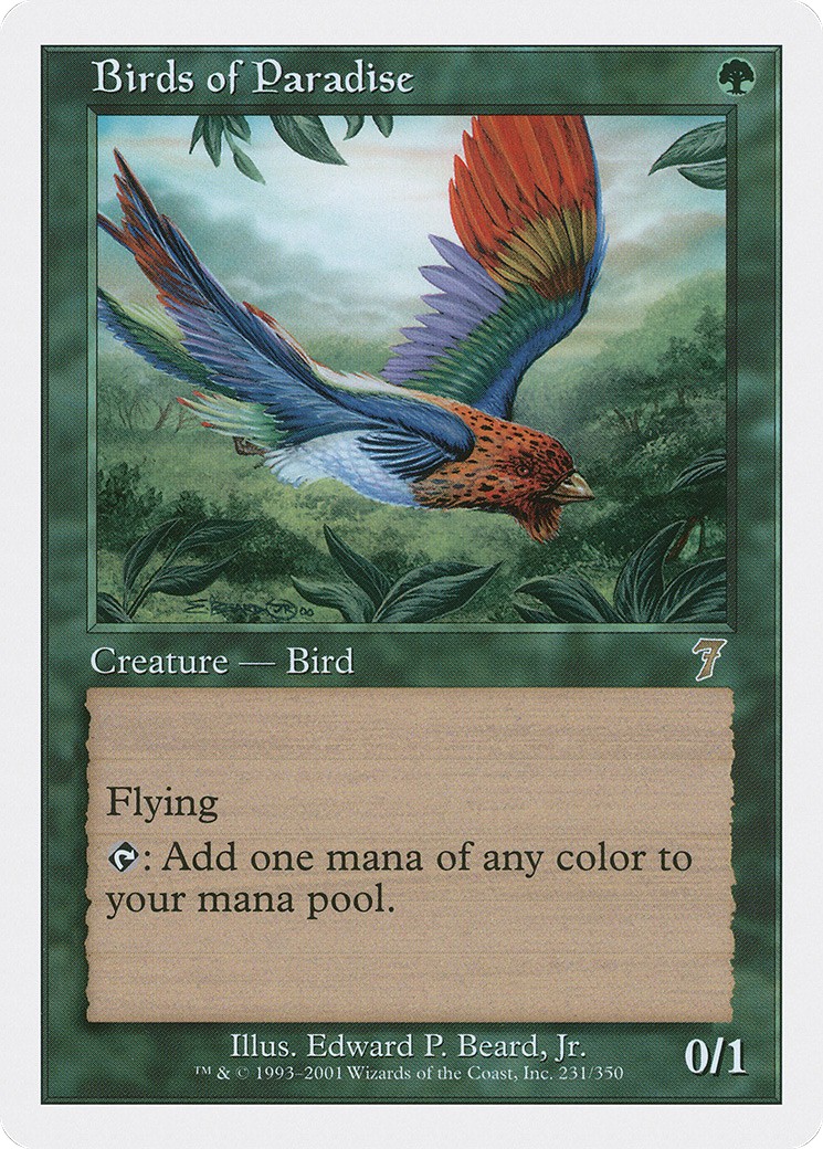 Birds of Paradise - Image 1