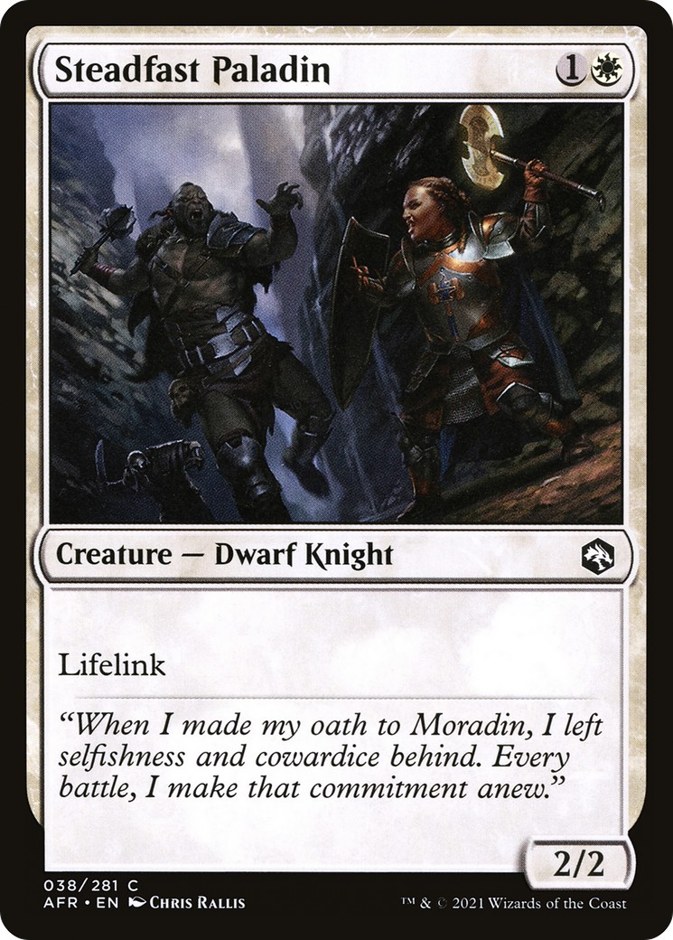 Steadfast Paladin - Image 1