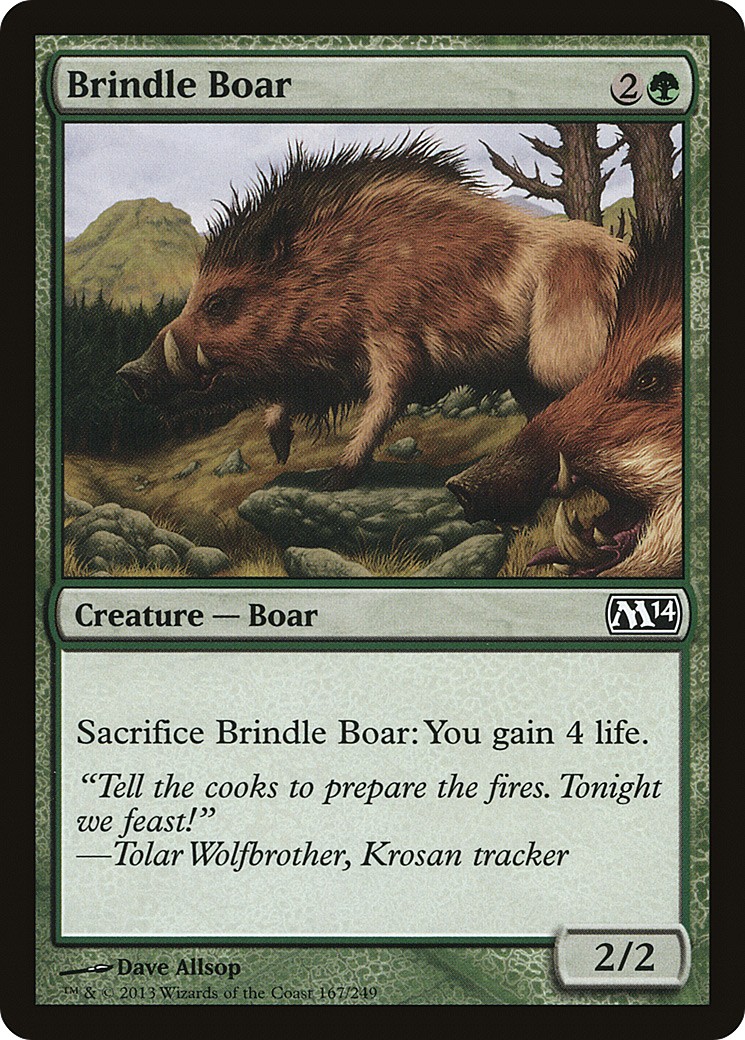 Brindle Boar - Image 1