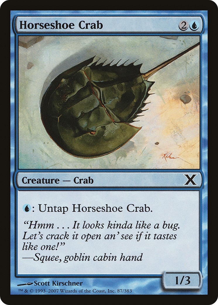 Horseshoe Crab - Image 1