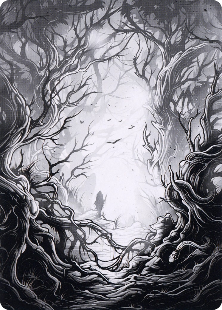 Forest // Forest - Image 1
