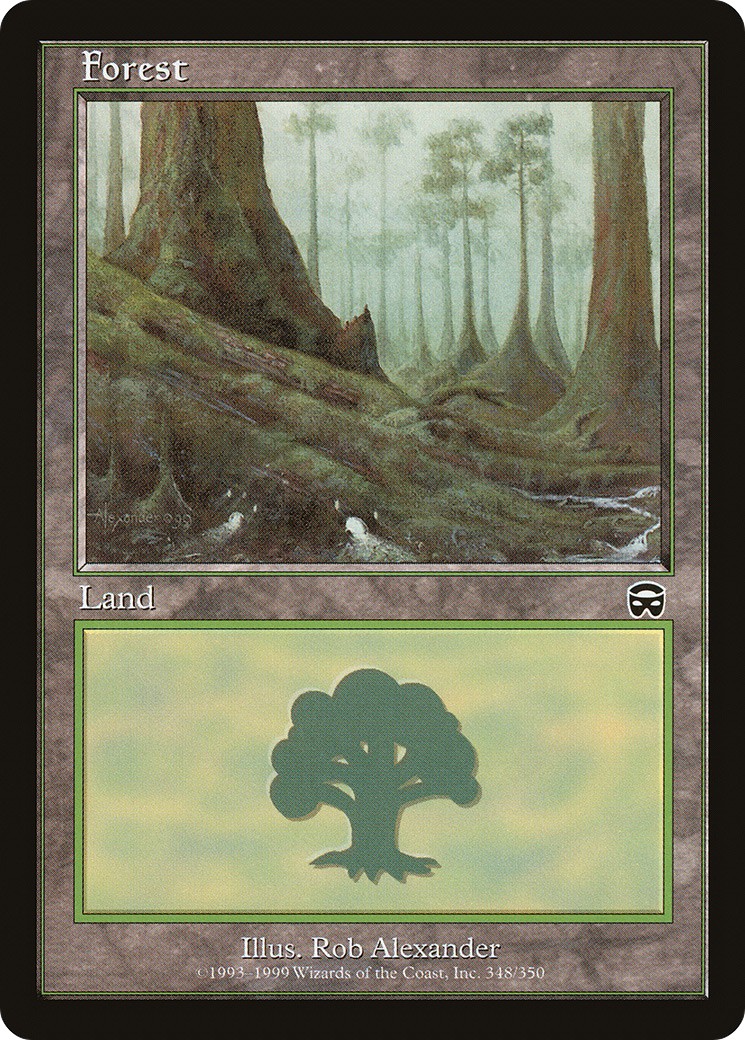 Forest - Image 1