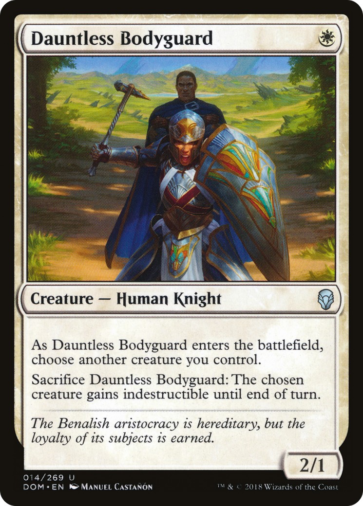 Dauntless Bodyguard - Image 1