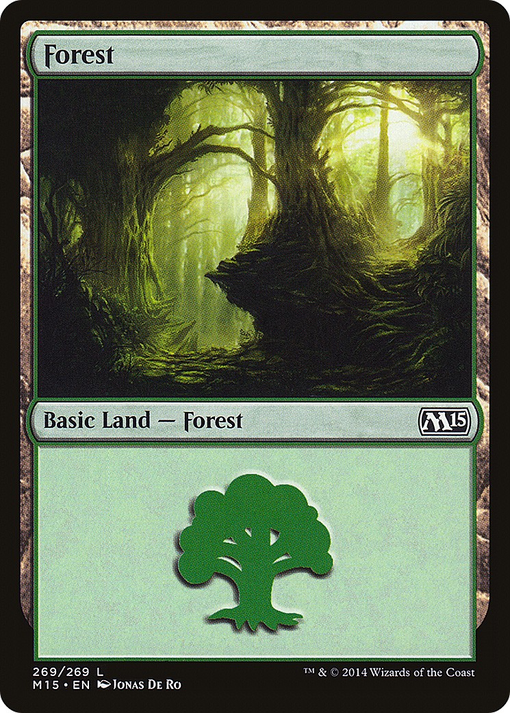 Forest - Image 1