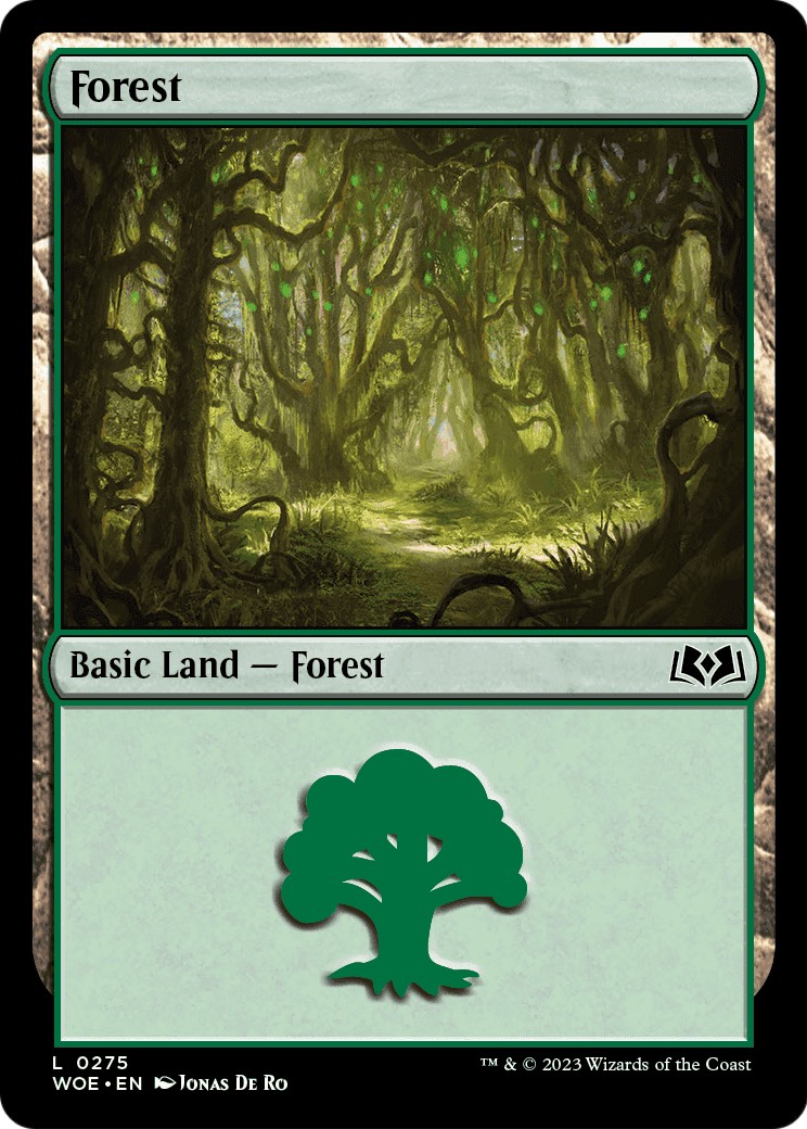 Forest - Image 1
