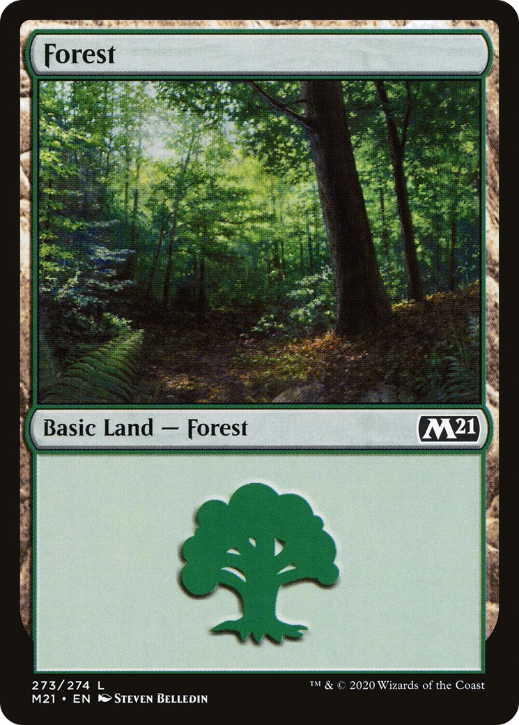 Forest - Image 1
