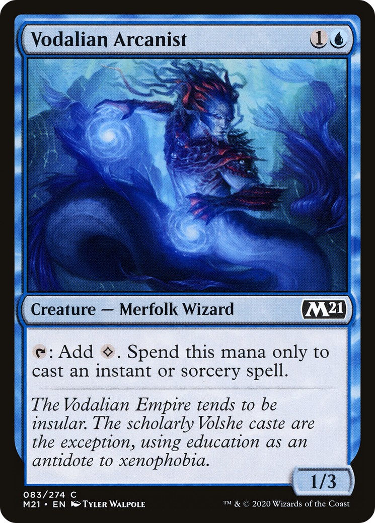 Vodalian Arcanist - Image 1