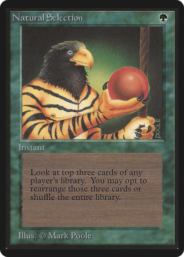 1993 Magic: The Gathering Beta 1993 Magic: The Gathering Beta #213 trading card