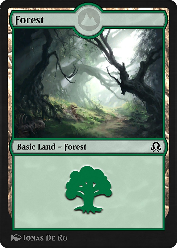 Forest - Image 1