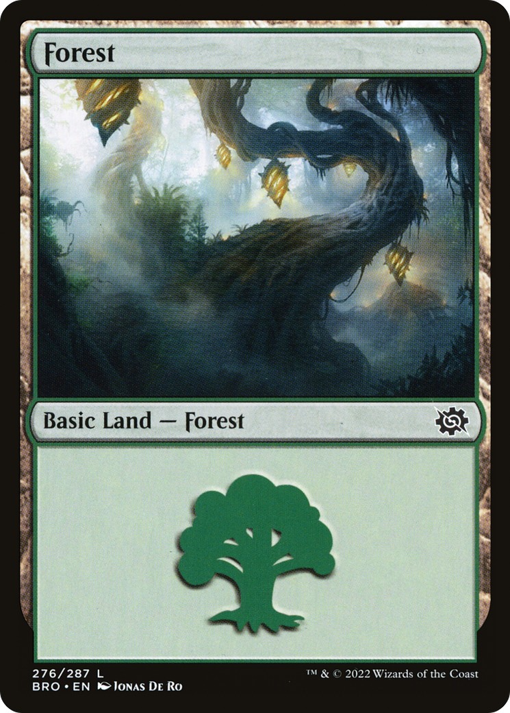 Forest - Image 1