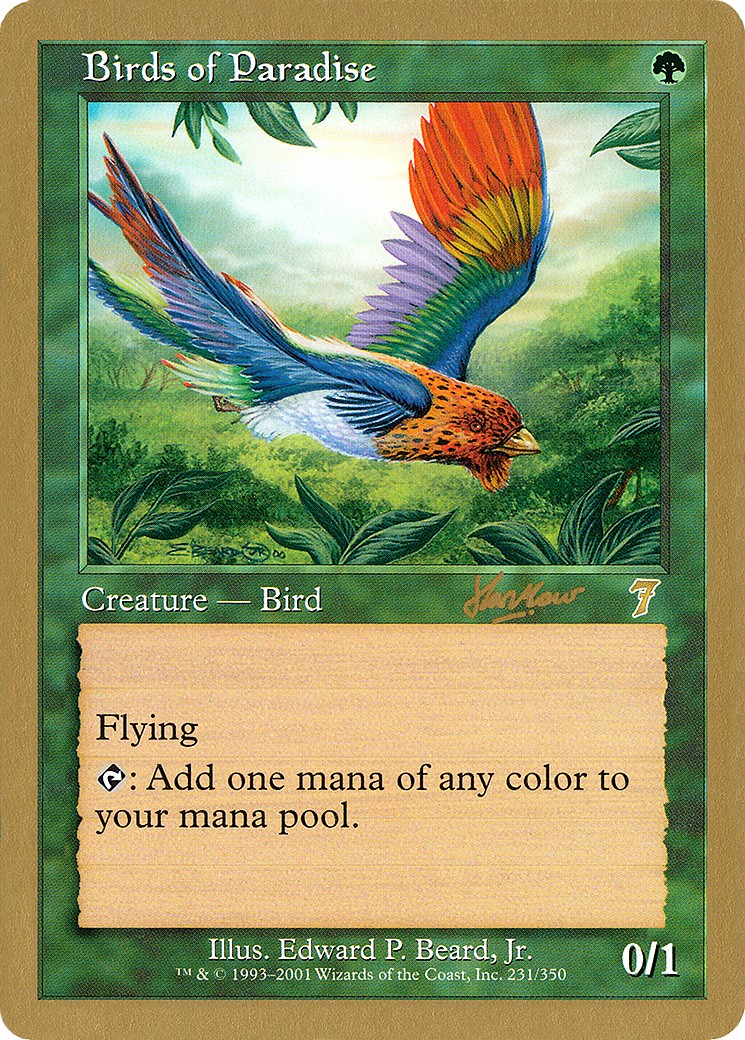 Birds of Paradise - Image 1