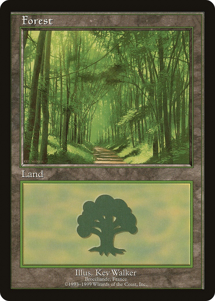 Forest - Image 1