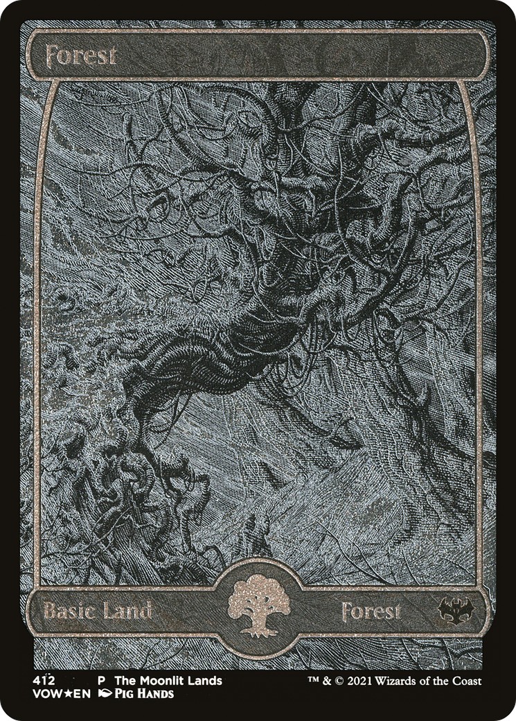 Forest - Image 1