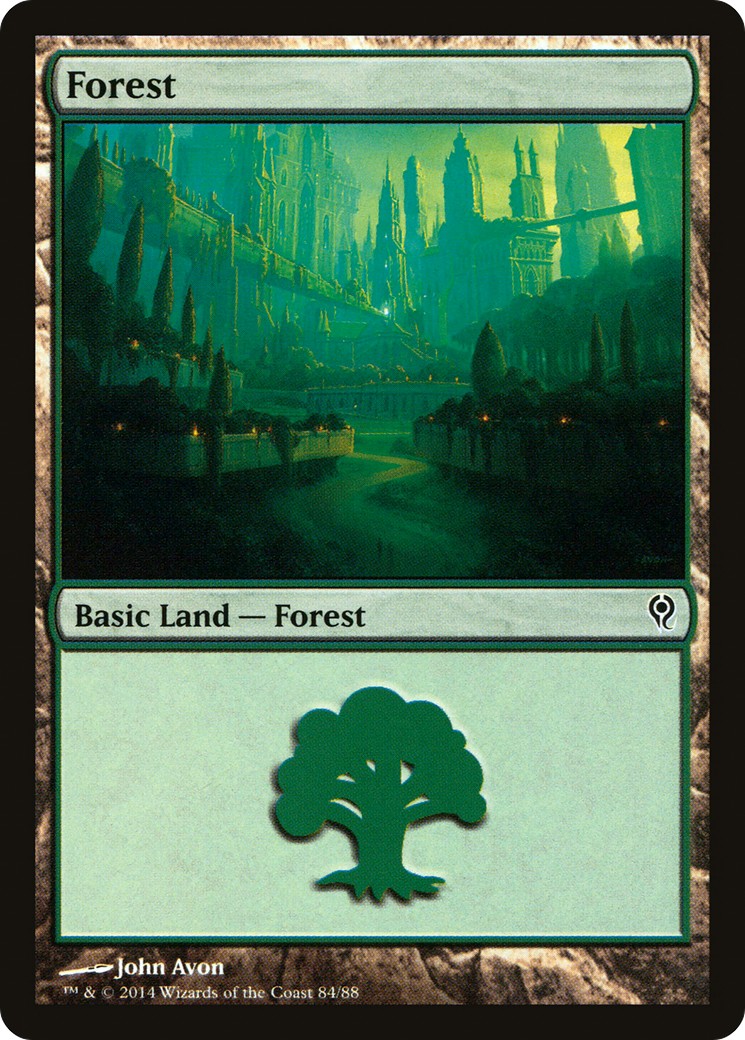 Forest - Image 1