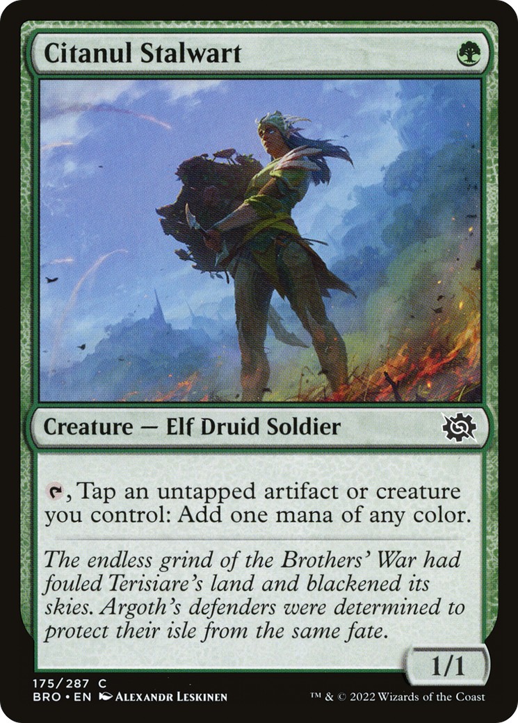 Citanul Stalwart - Image 1