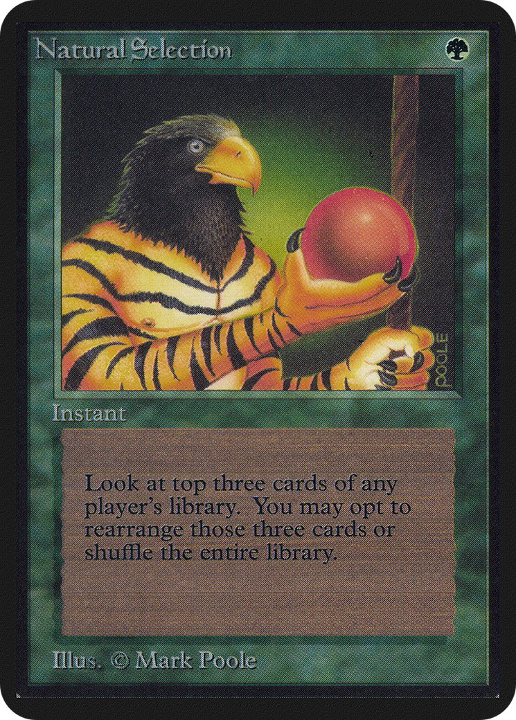 1993 Magic: The Gathering Alpha 1993 Magic: The Gathering Alpha #212 trading card