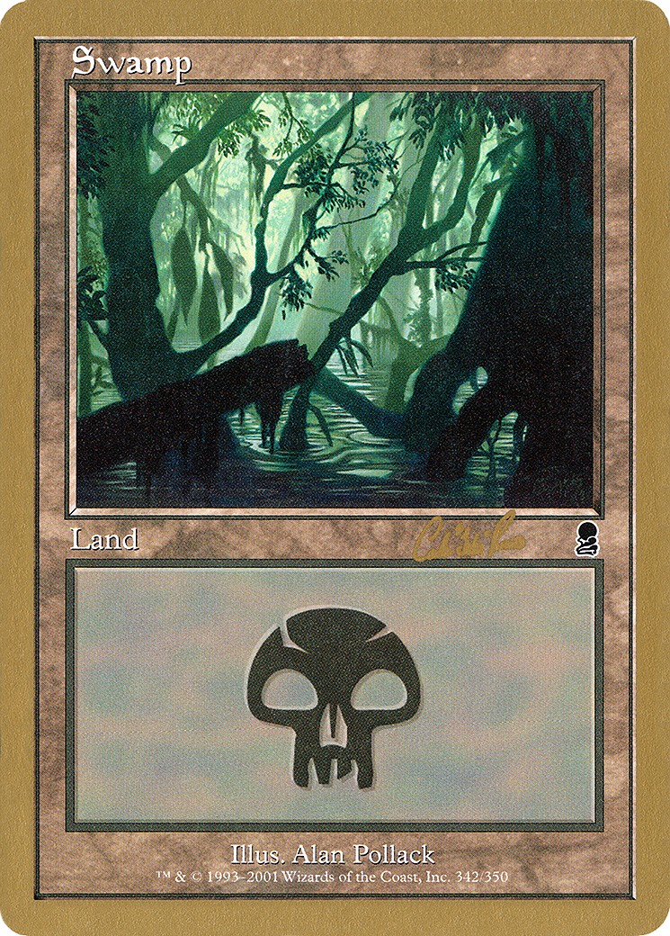 Swamp - Image 1