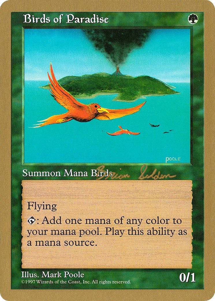 Birds of Paradise - Image 1