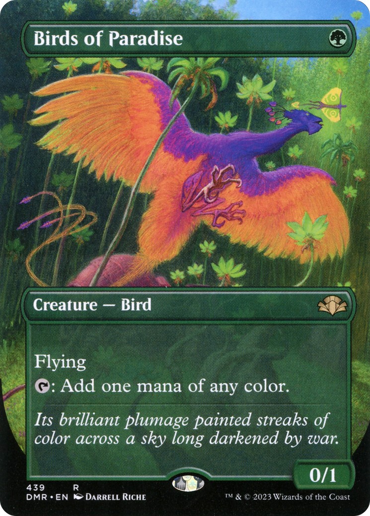 Birds of Paradise - Image 1