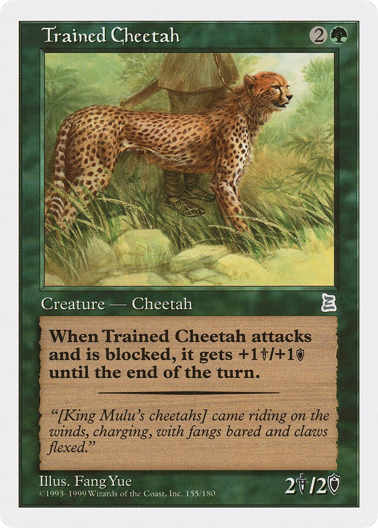 Trained Cheetah - Image 1