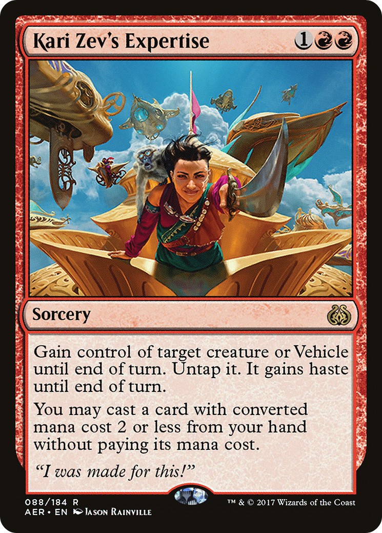 Kari Zev's Expertise - Image 1
