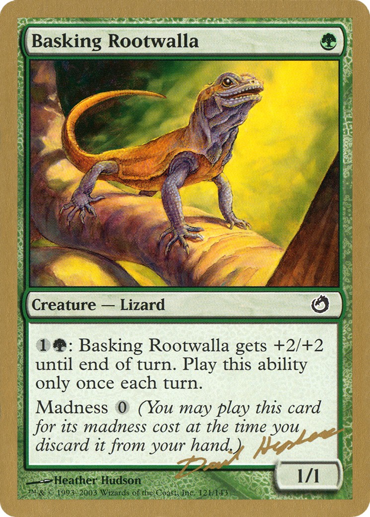 Basking Rootwalla - Image 1