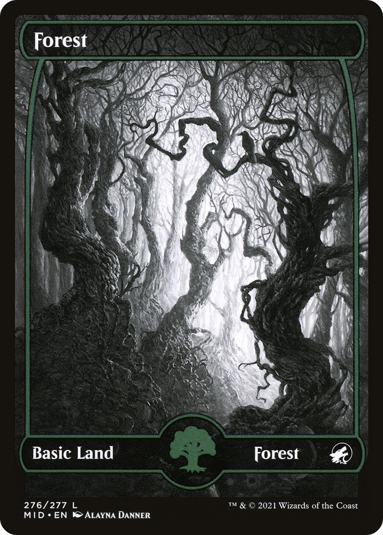Forest - Image 1