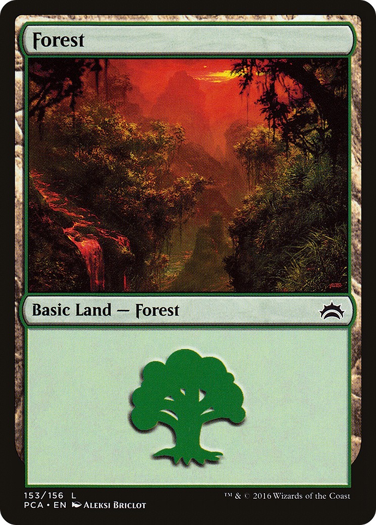 Forest - Image 1